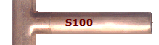 S100